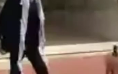 الصديق الوفي للانسان.. من هو؟