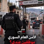 هل سقط النظام وبقي التشبيح؟